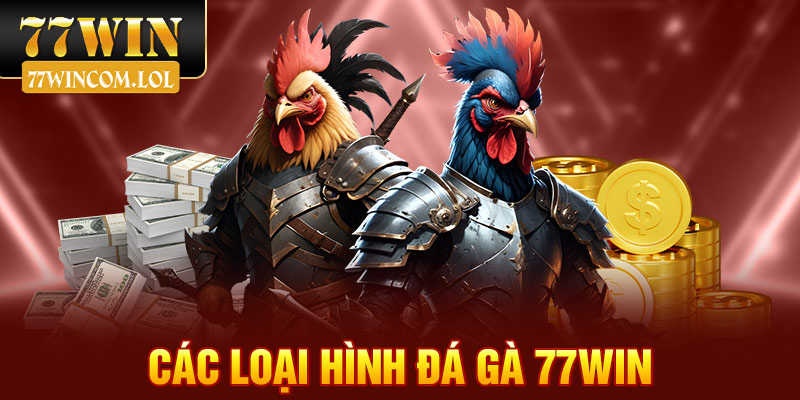 Các loại hình đá gà 77win