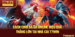 Cách Chơi Đá Gà Online Hiệu Quả, Thắng Lớn Tại Nhà Cái 77win