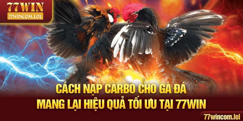 Cách Nạp Carbo Cho Gà Đá Mang Lại Hiệu Quả Tối Ưu Tại 77win