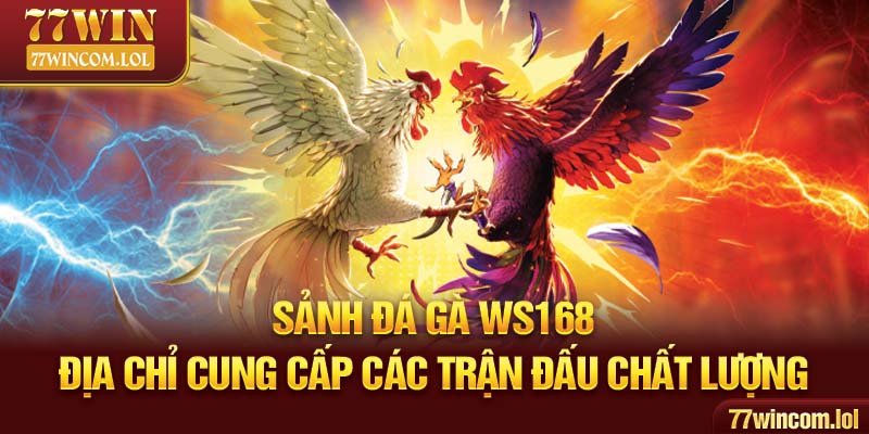 Sảnh Đá Gà WS168 - Địa Chỉ Cung Cấp Các Trận Đấu Chất Lượng