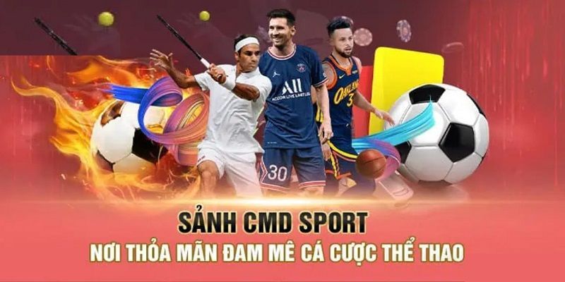 CMD sports 77win cá cược siêu thuận tiện